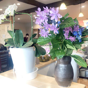 デイホーム孫の手・こまいぎ 季節の花と過ごすひととき