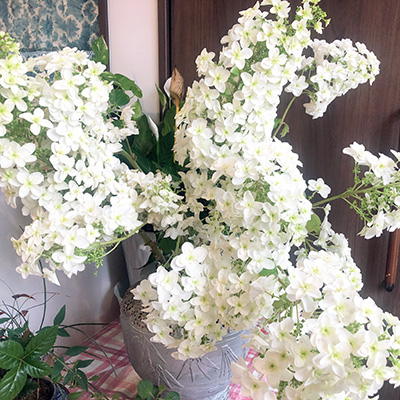 デイホーム孫の手・こまいぎ 季節の花と過ごすひととき