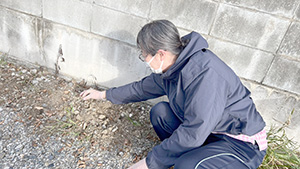 訪問看護ステーション 孫の手