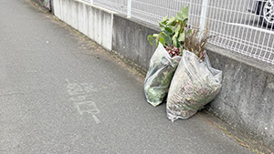 デイホームさの 作業後