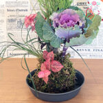 デイホーム孫の手・こまいぎ　お正月飾りこけ玉作りの様子