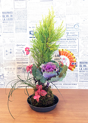 デイホーム孫の手・こまいぎ お正月飾りこけ玉作りの様子